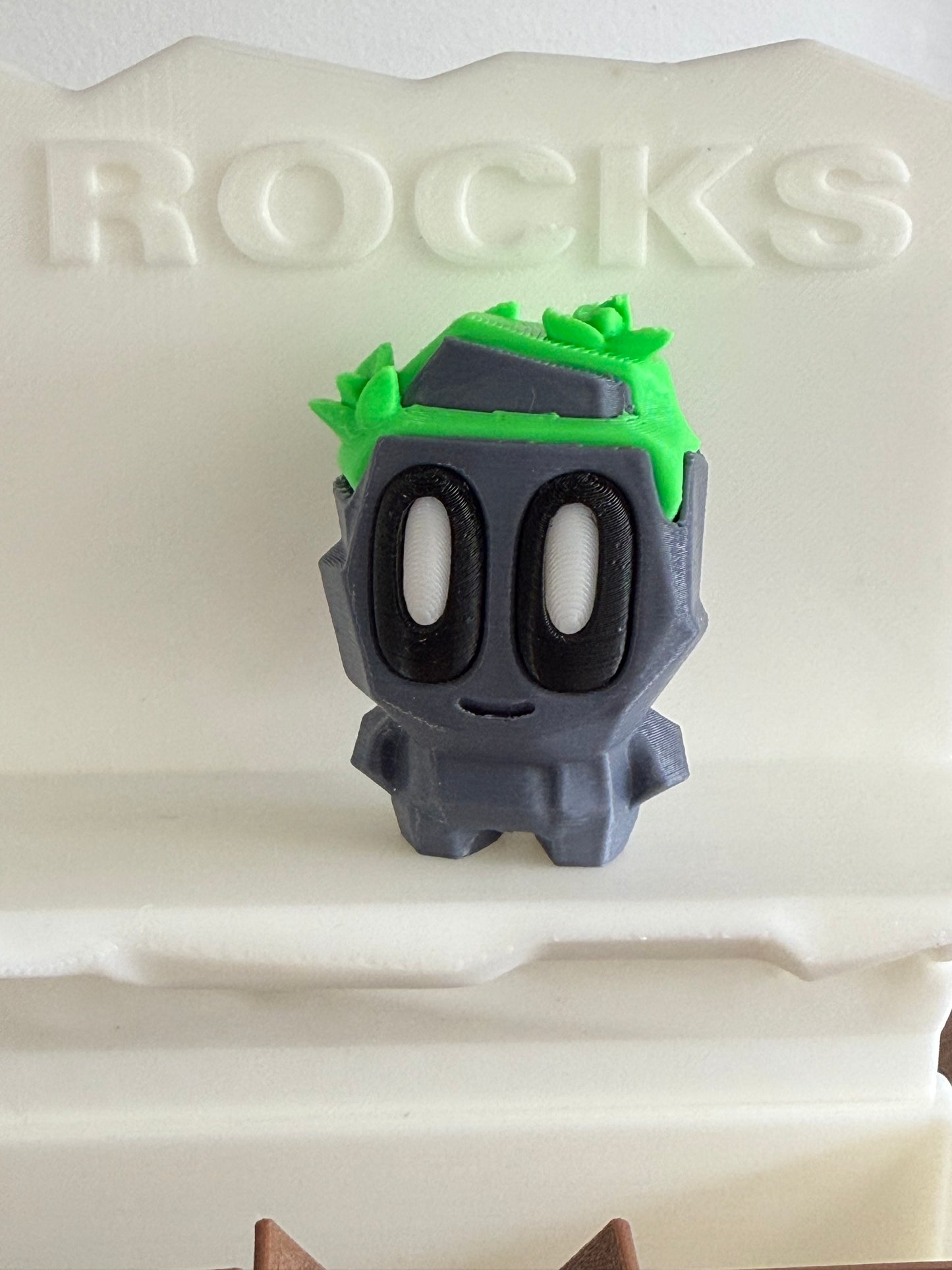 Pet Rock with Pet Box