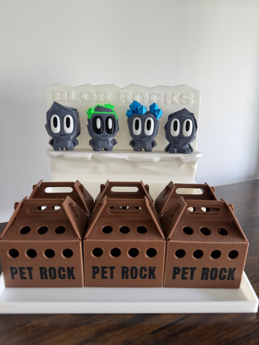 Pet Rock with Pet Box